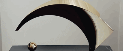 29.gif
